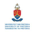 University of Pretoria logo